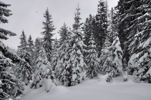 snowing_by_austriaangloalliance-d5r9ank